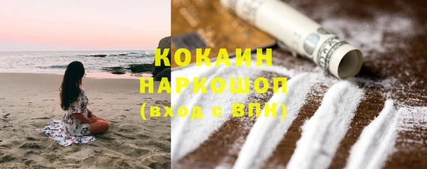 гашик Липки