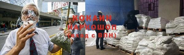 ПСИЛОЦИБИНОВЫЕ ГРИБЫ Ладушкин