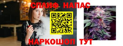 a pvp Донской