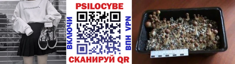 Псилоцибиновые грибы прущие грибы  Майский 