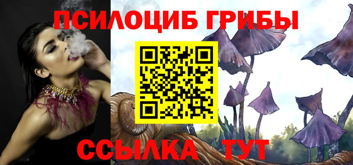 Псилоцибиновые грибы мухоморы Майский